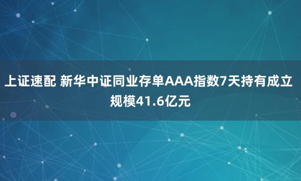 上证速配 新华中证同业存单AAA指数7天持有成立 规模41.6亿元